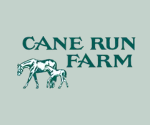 CaneRun300x250v2.png